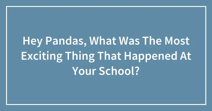 Hey Pandas, What Was The Most Exciting Thing That Happened At Your School?