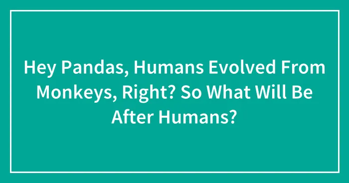 Hey Pandas, Humans Evolved From Monkeys, Right? So What Will Be After Humans? (Closed)