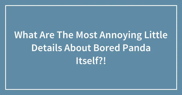 What Are The Most Annoying Little Details About Bored Panda Itself?!