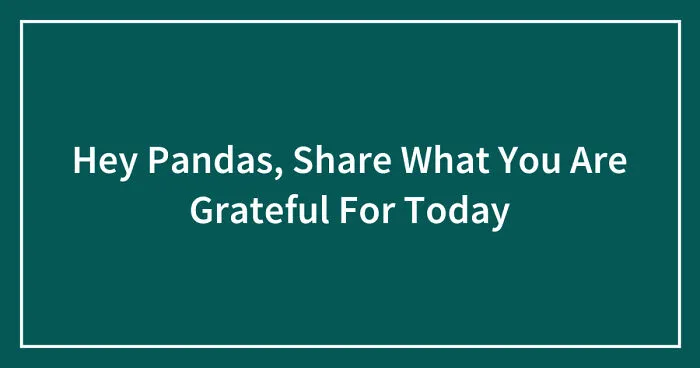 Hey Pandas, Share What You Are Grateful For Today (Closed)