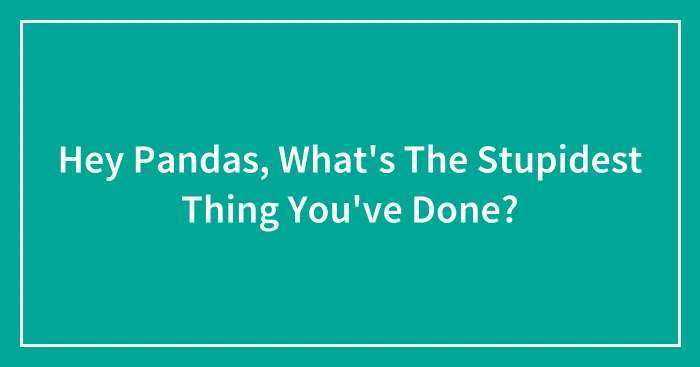 Hey Pandas, What's The Stupidest Thing You've Done? (Closed)