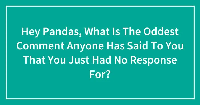 Hey Pandas, What Is The Oddest Comment Anyone Has Said To You That You Just Had No Response For? (Closed)