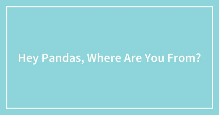 Hey Pandas, Where Are You From? (Closed)