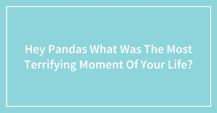 Hey Pandas What Was The Most Terrifying Moment Of Your Life?