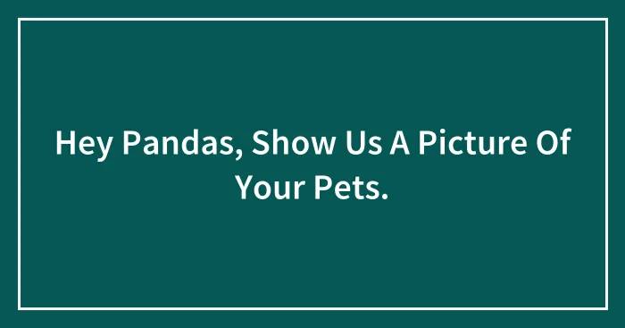 Hey Pandas, Show Us A Picture Of Your Pets.