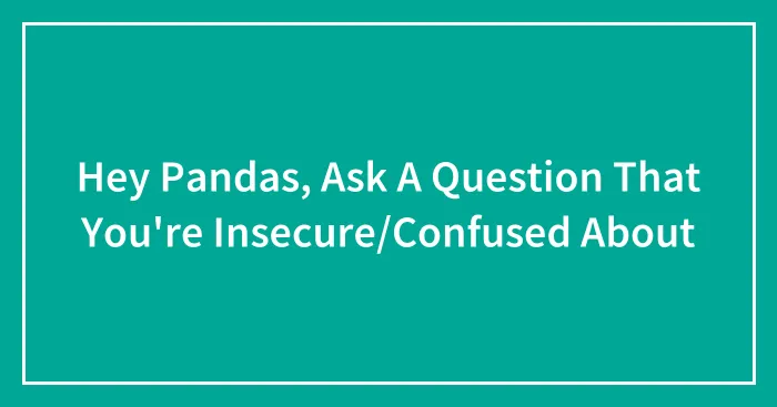 Hey Pandas, Ask A Question That You're Insecure/Confused About (Closed)