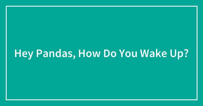 Hey Pandas, How Do You Wake Up? (Closed)