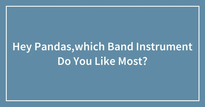 Hey Pandas,which Band Instrument Do You Like Most?