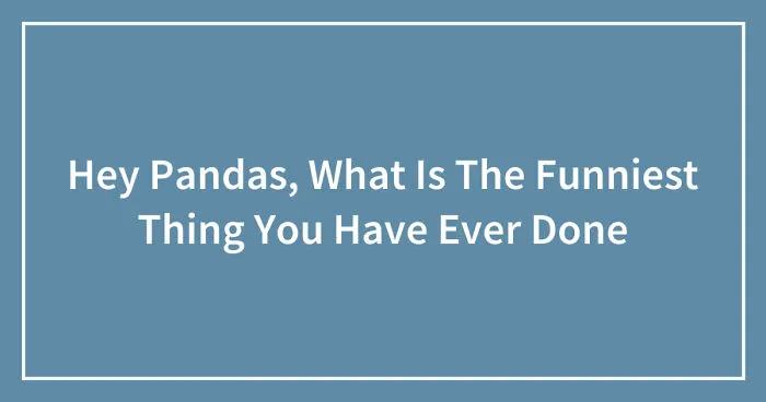 Hey Pandas, What Is The Funniest Thing You Have Ever Done (Closed)