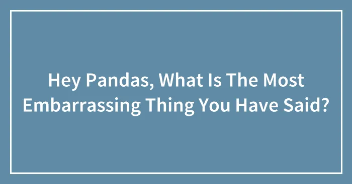 Hey Pandas, What Is The Most Embarrassing Thing You Have Said? (Closed)