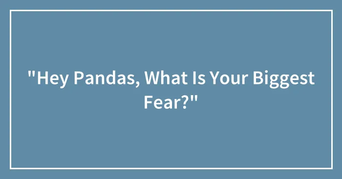 "Hey Pandas, What Is Your Biggest Fear?"