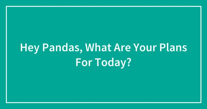 Hey Pandas, What Are Your Plans For Today? (Closed)