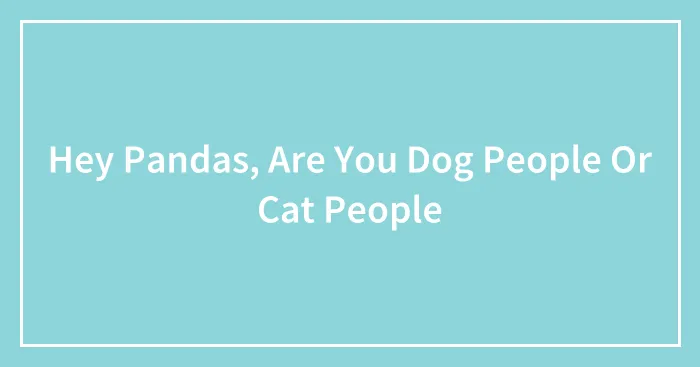 Hey Pandas, Are You Dog People Or Cat People