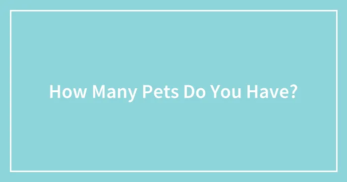 How Many Pets Do You Have?
