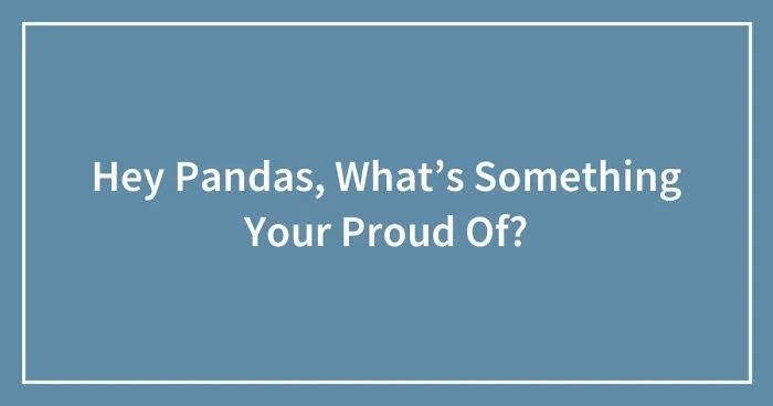 Hey Pandas, What’s Something Your Proud Of? (Closed)