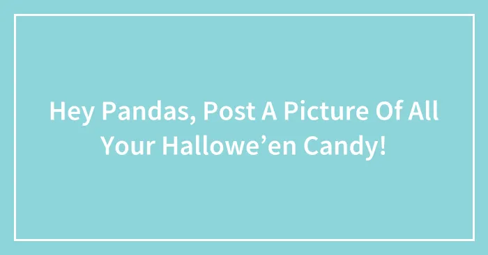 Hey Pandas, Post A Picture Of All Your Hallowe’en Candy!