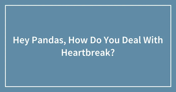 Hey Pandas, How Do You Deal With Heartbreak?