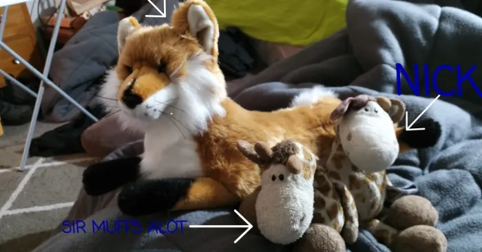 Hey Pandas, Post A Picture Of Your Stuffed Animal, Please (Closed)