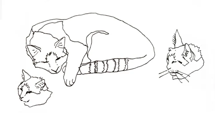 Hey Pandas, Draw A Picture Of Your Pet (Closed)