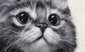 I Make Realistic Wool Pet Portraits That Preserve The Memory Of Beloved Companions (30 Pics)