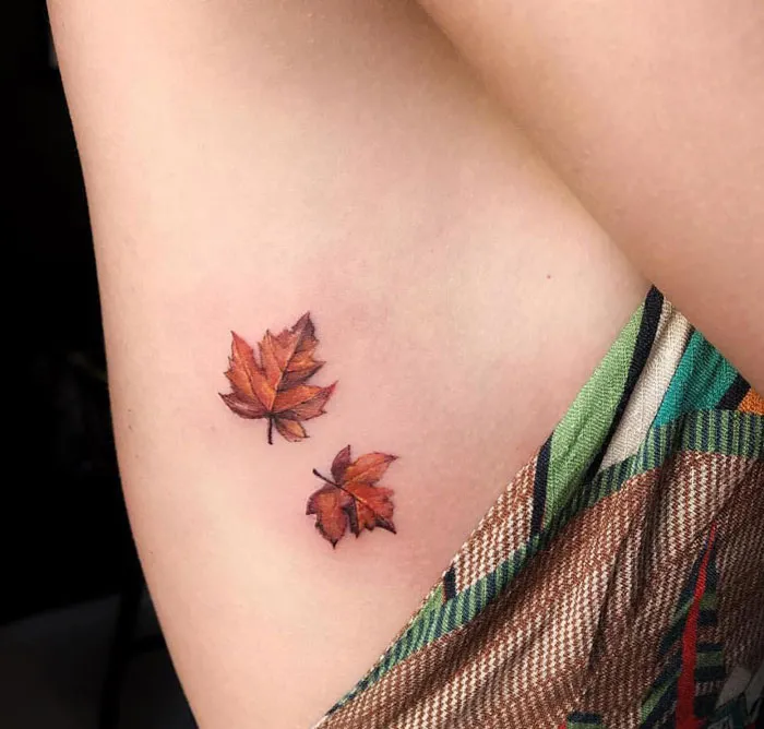 Hojas de otoño