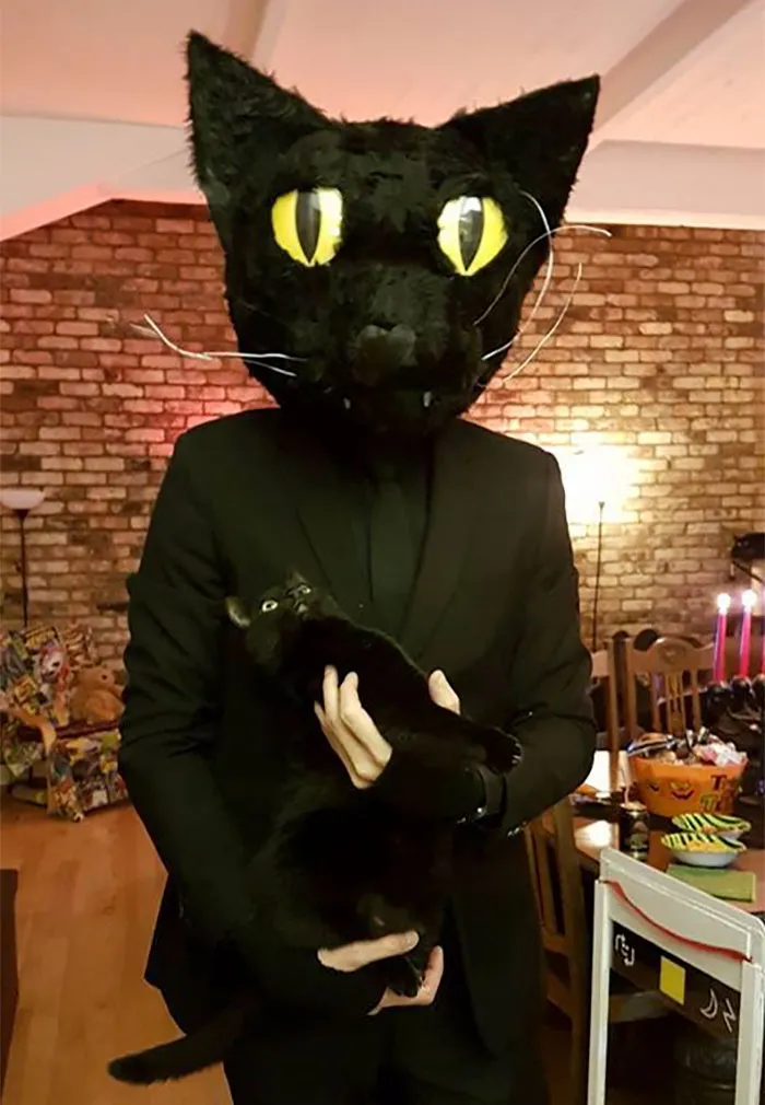 Cat Thinks His Owner Is A Real Cat