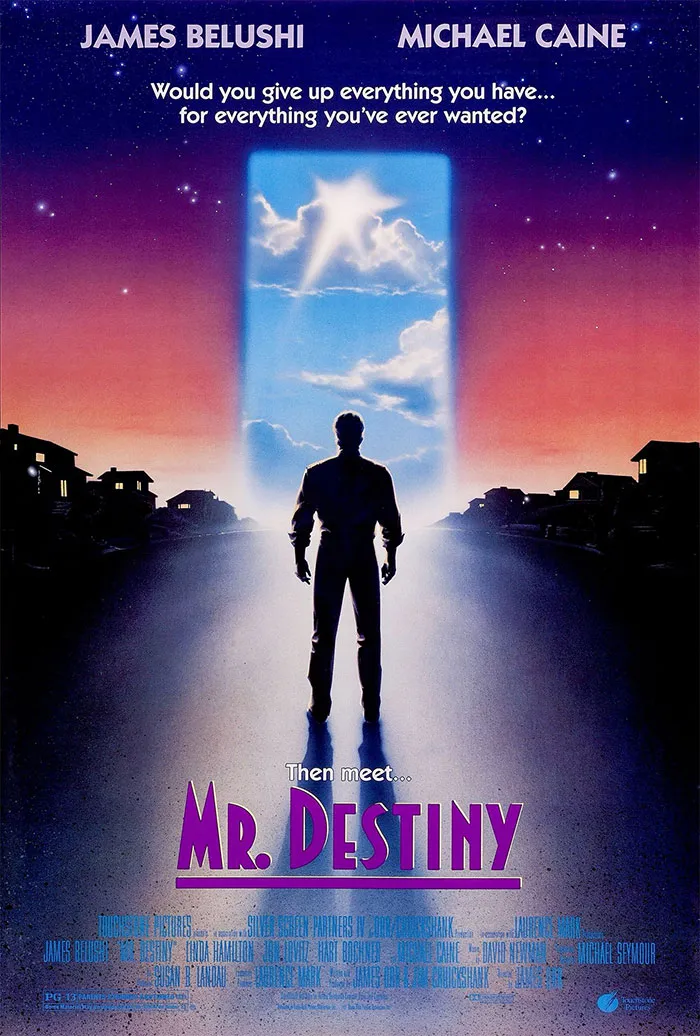 Mr. Destiny
