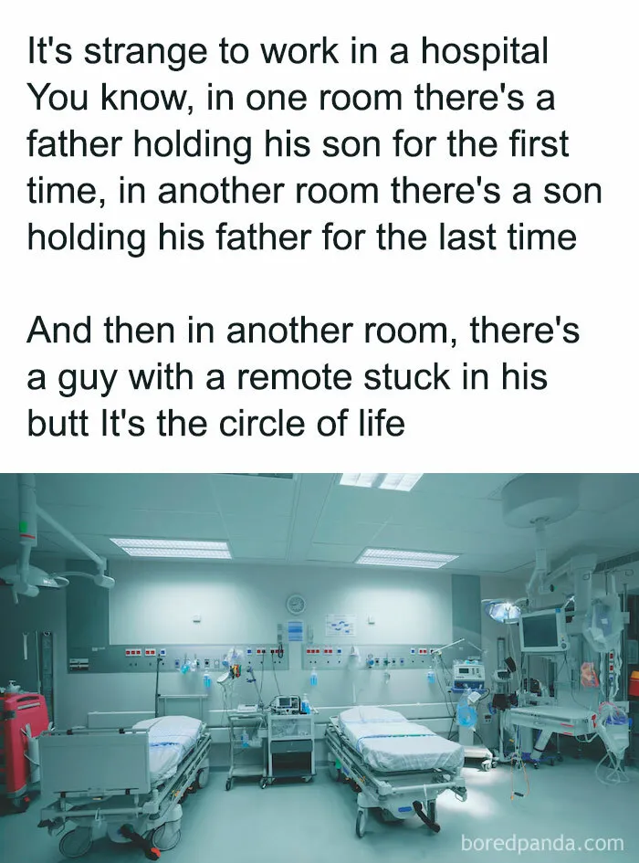 I'm Sorry, What?