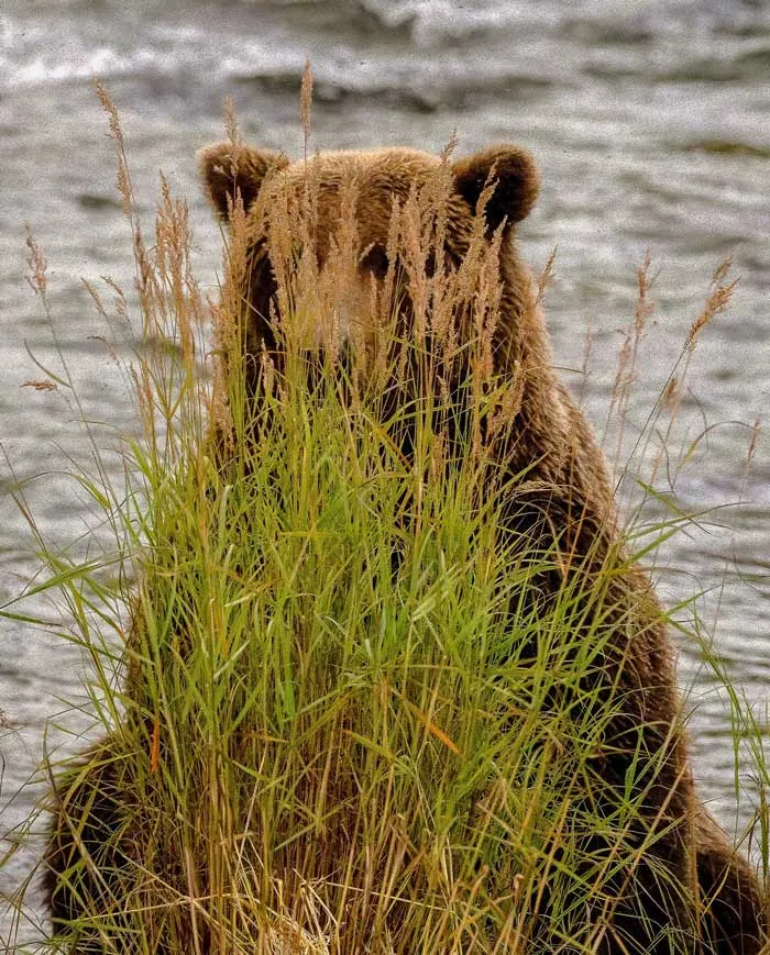 I Had This Strange Feeling I Was Being Watched