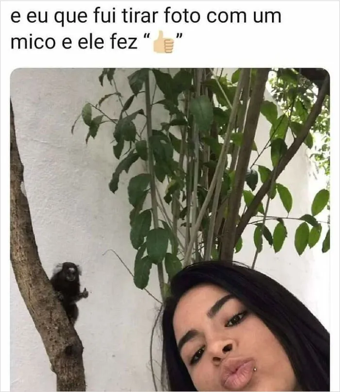 "And What About Me When I Went To Take A Picture With The Mico* And He Did A " (*mico Is A Monkey Subspecies)