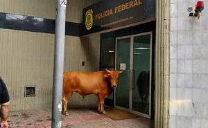 50 Pics That Prove Brazil Is Unlike Any Other Country