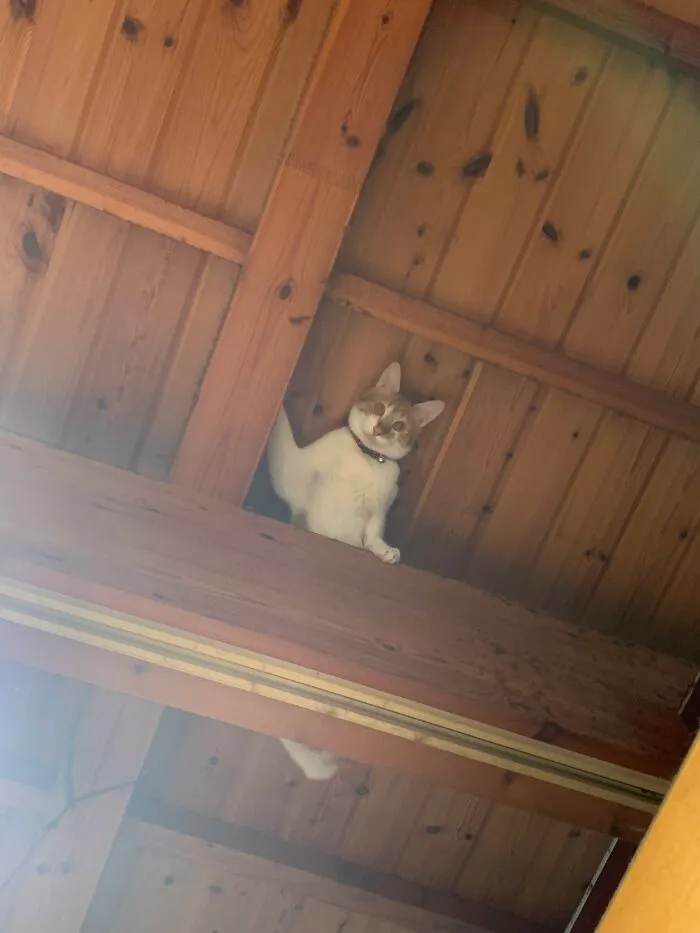 Stop Looking To The Ceiling