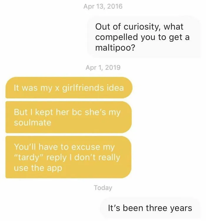 50 Times Bumble Conversations Were So Good, People Had To Share Them On This Instagram Page