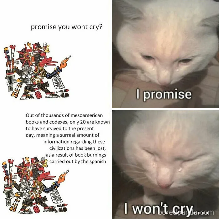 Pain