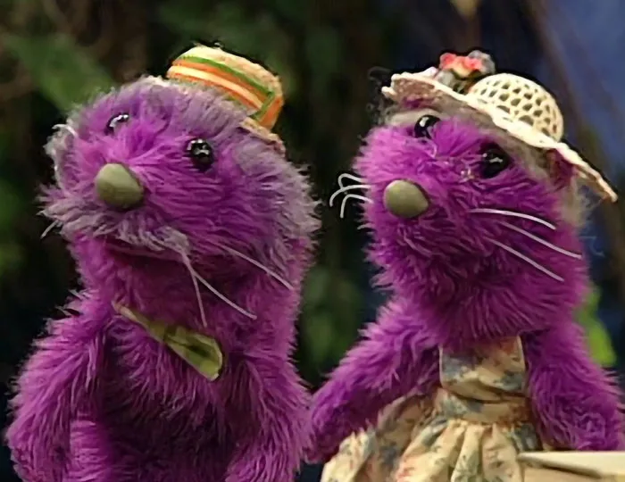 Pip & Pop