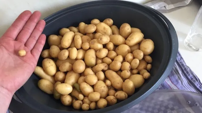 They Are Small - But Homegrown And Organic