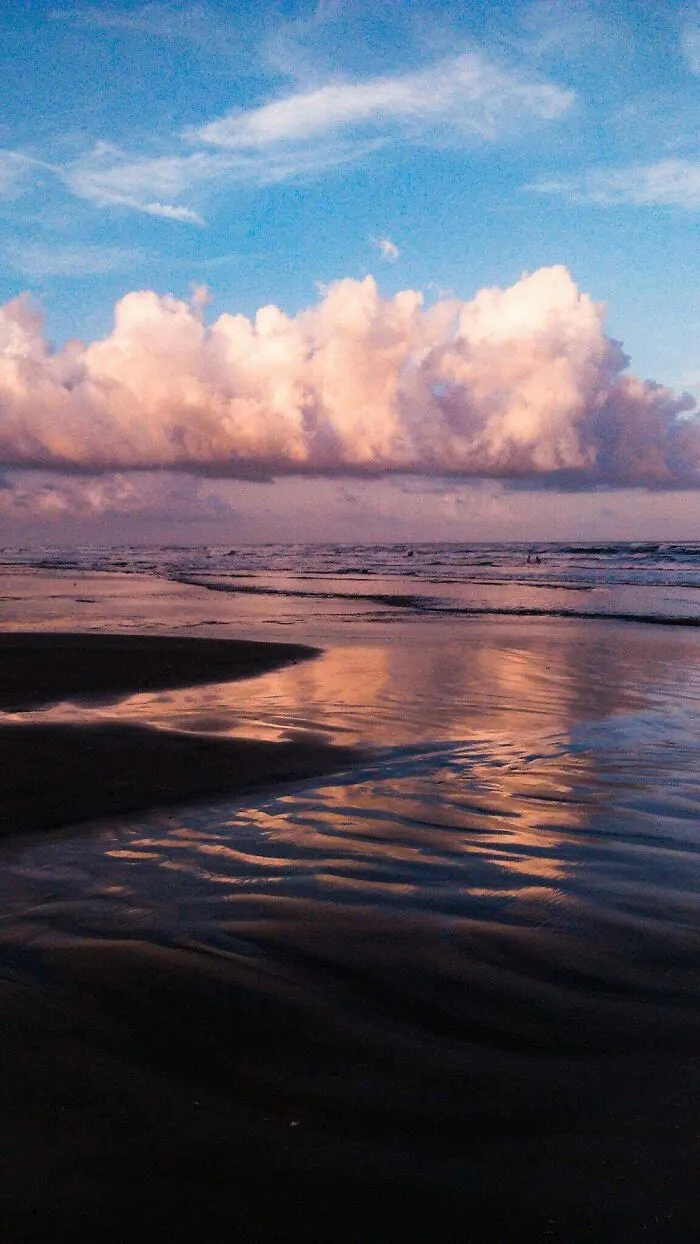 Purple Port Aransas