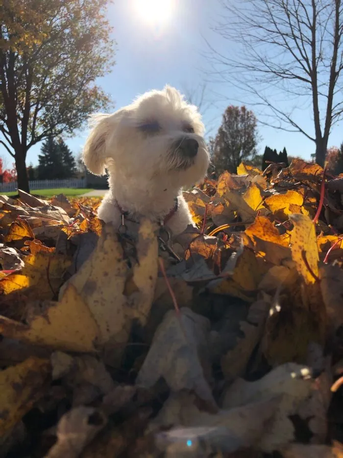 Soaking In The Sun.