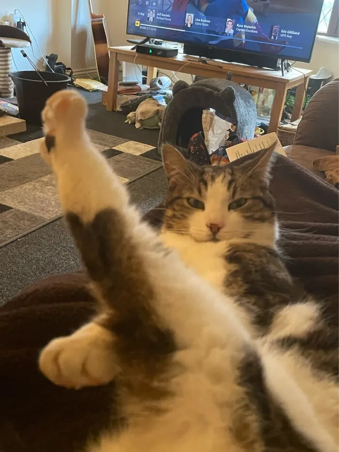 Good Old Stretches