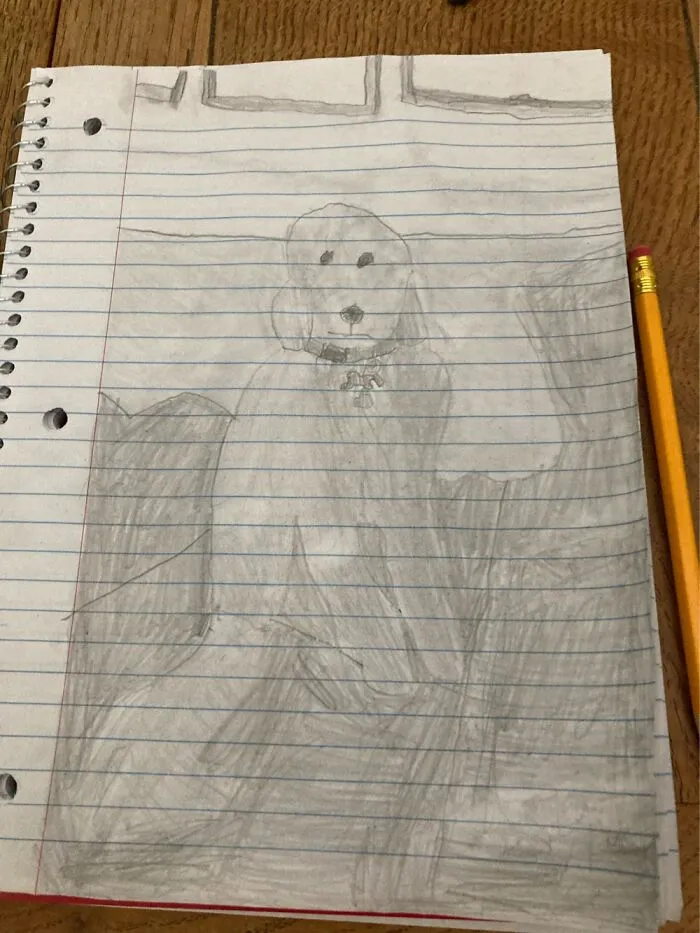 A Drawing Of My Grandma’s Dog. The Previous Post Shows The Picture I Drew It From.