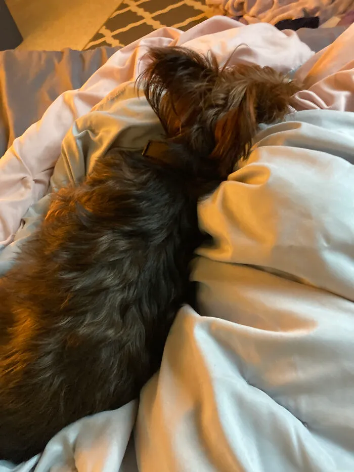 This Is Winston
