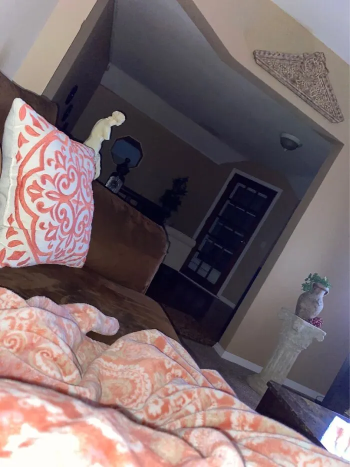 Cozy On My Couch….