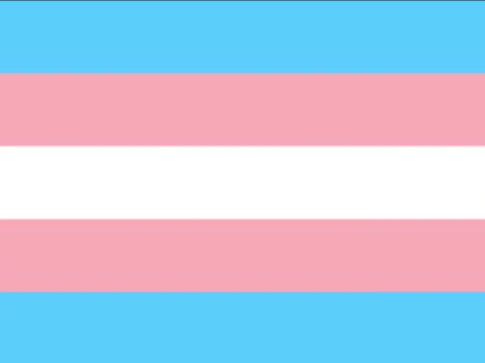 Australian (Nsw) Bill Inhibiting Trans Student Rights