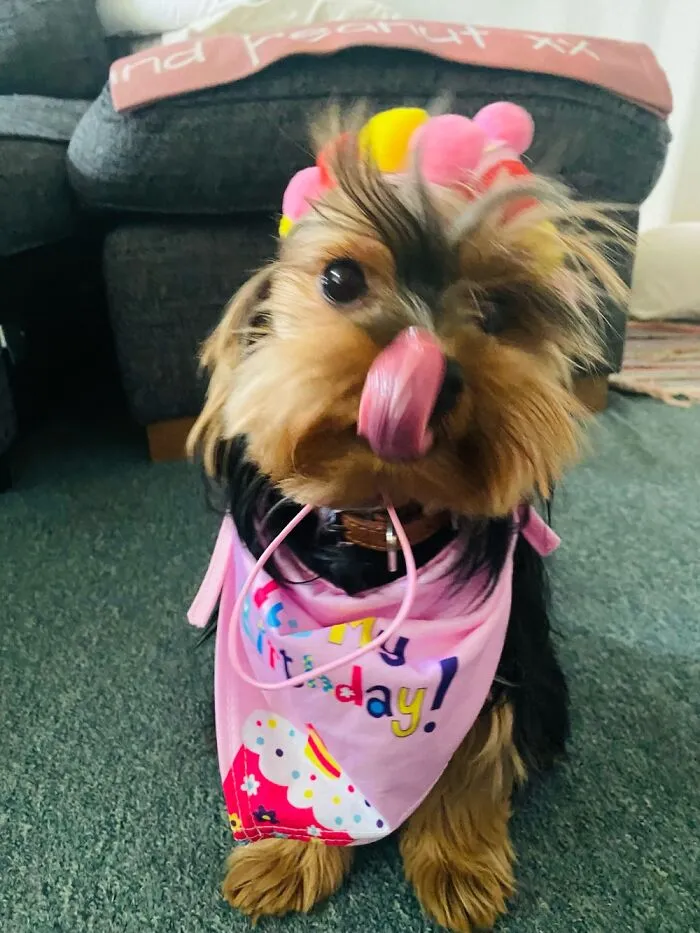 Peanut On Her First Birthday