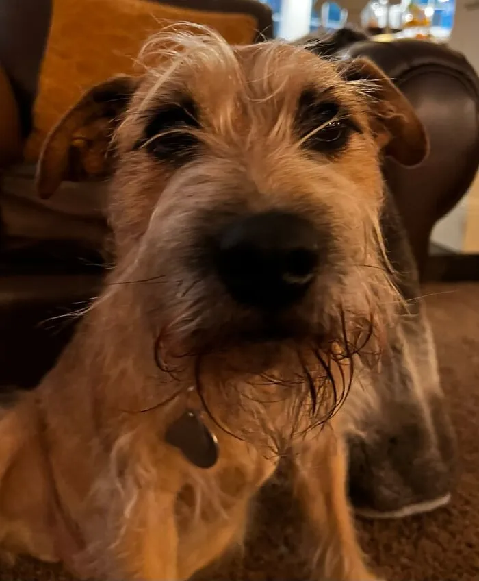 Rascal!