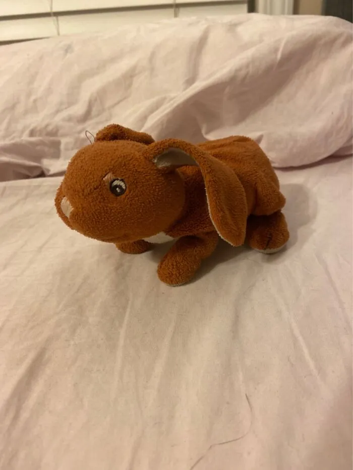 This Is My Bunny Named Bunny :d I Cannot Sleep Without Her I Am Autistic Too