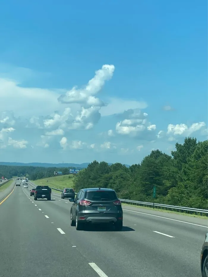 Road Tripping Through The South..