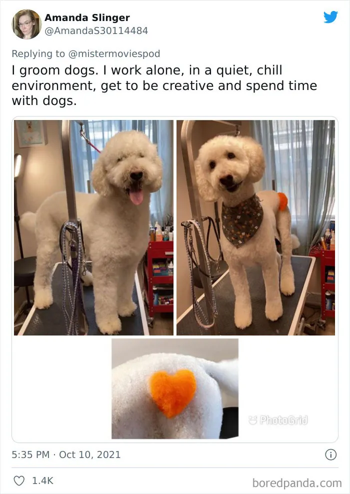 People Who Actually Like Their Jobs Are Sharing What They Do (35 Tweets)