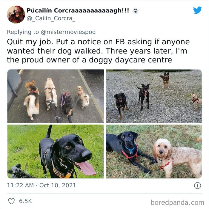 People Who Actually Like Their Jobs Are Sharing What They Do (35 Tweets)