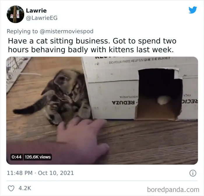 People Who Actually Like Their Jobs Are Sharing What They Do (35 Tweets)